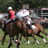 Polo, Commercial Wedding Photographers: Photoscience.co.uk